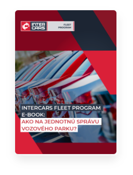 Stiahnuť Inter Cars Fleet Program ebook